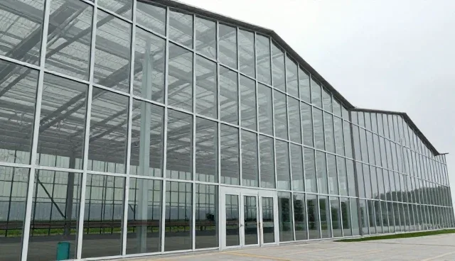 技术开发支持：选型、使用与维护的实用建议
