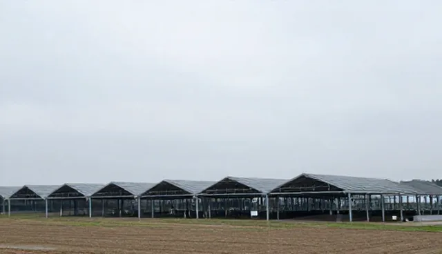 怀化网站建设：线上推广对接的机遇与挑战