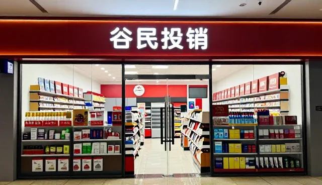 定制化技术支持服务的适用范围比较与选择建议