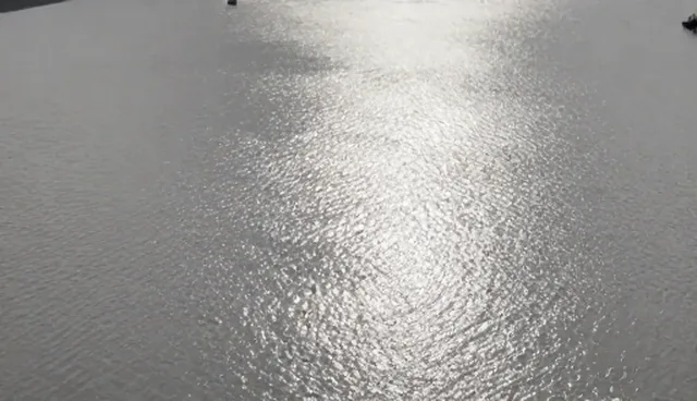电商运营流量变现中的常见误区与选型建议