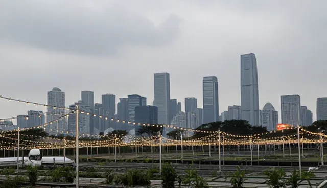 信息平台建设维护策略：适用情况与限制分析