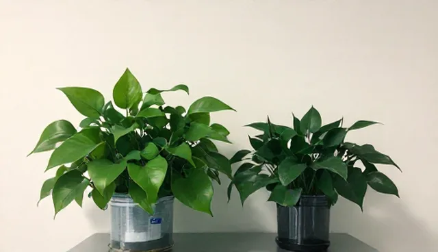 线上店铺运营中如何有效控制成本