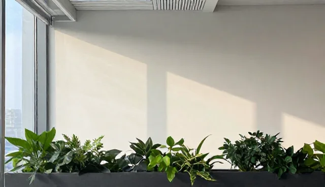 财税策划中常见误区与优化建议