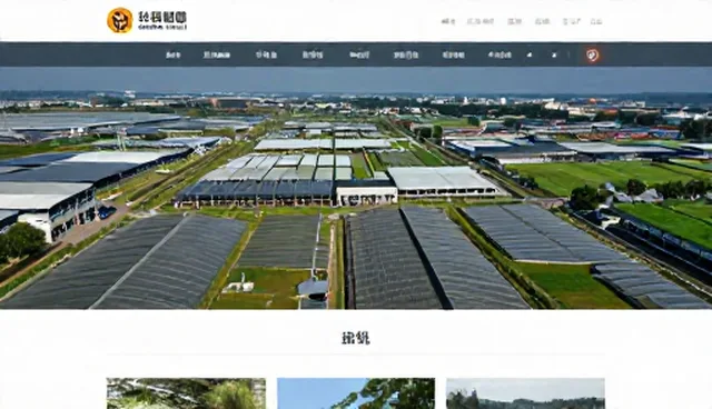网站建设：网站优化趋势下的维护策略分析