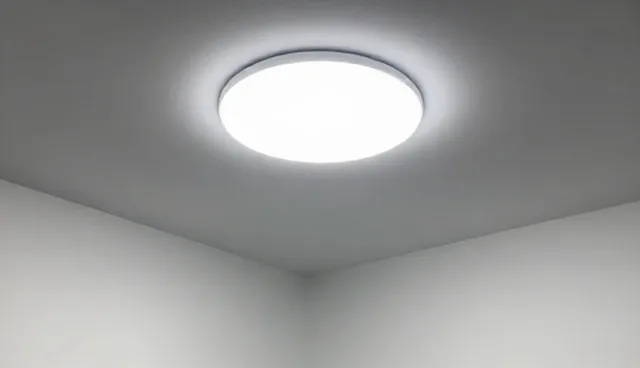 专业度如何影响财税团队的服务效果