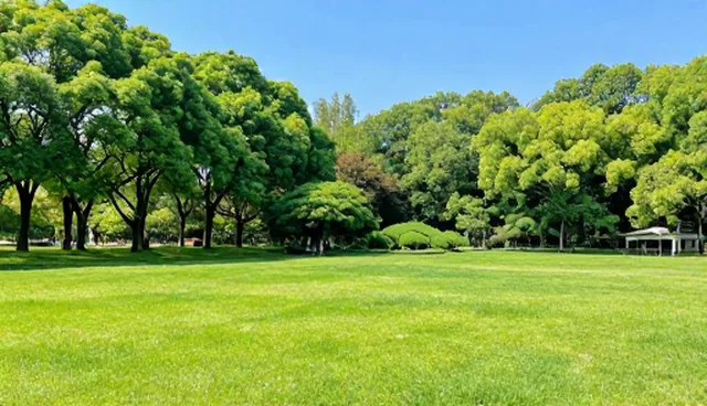 品牌建设中企业战略规划方案的选型关注点比较