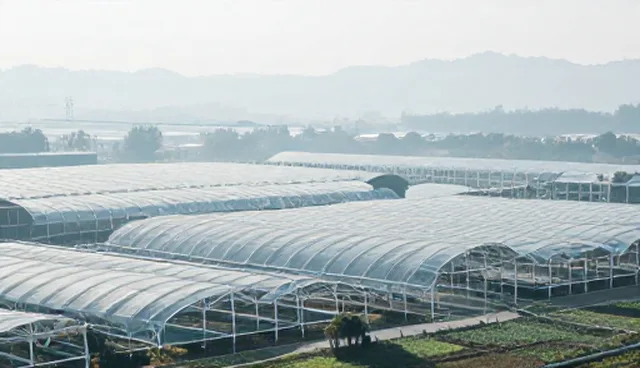 康复指导中的平台优化与技术推广适用场景分析