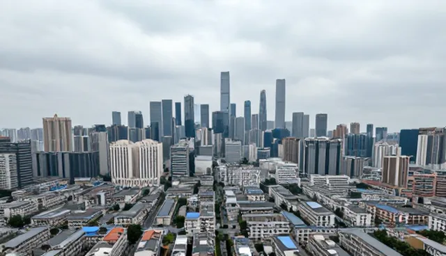 技术开发方案选型与维护建议