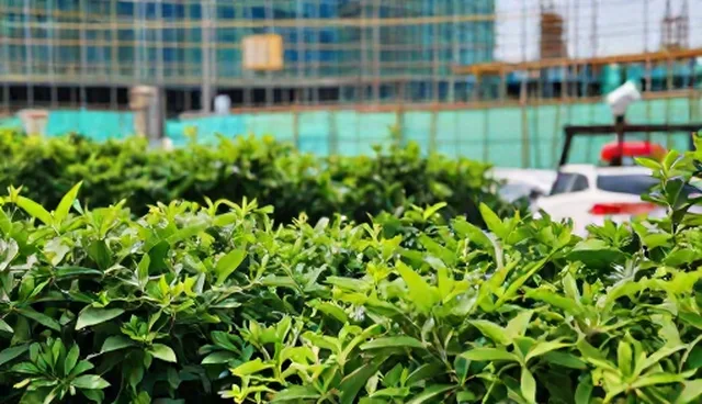 如何建立高效的沟通机制？