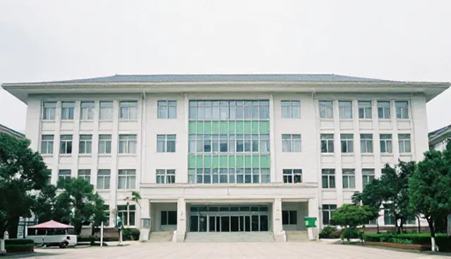AI内容优化服务如何提升搜索效果