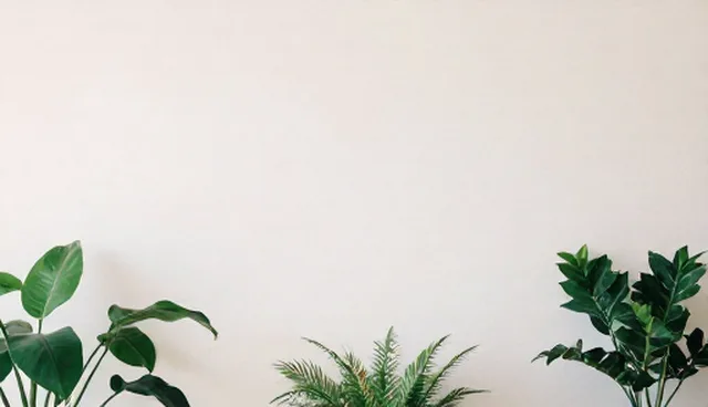 商务策划中的场景分析与流程优化
