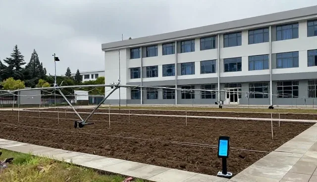 种植技术指导中常见误区与正确理解