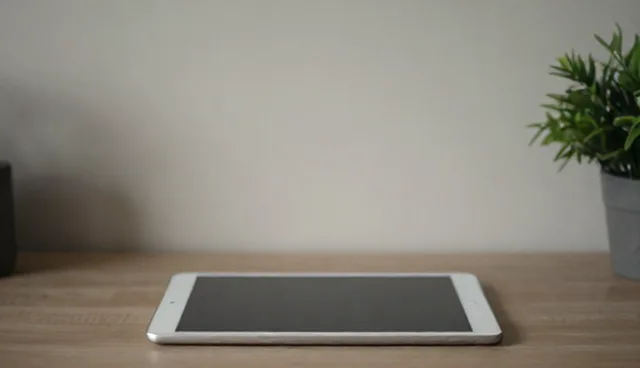 适用条件对结果影响的具体原因分析