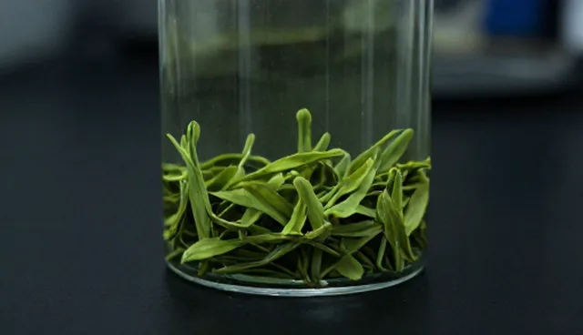 六安瓜片质量关管理如何避免常见误区？