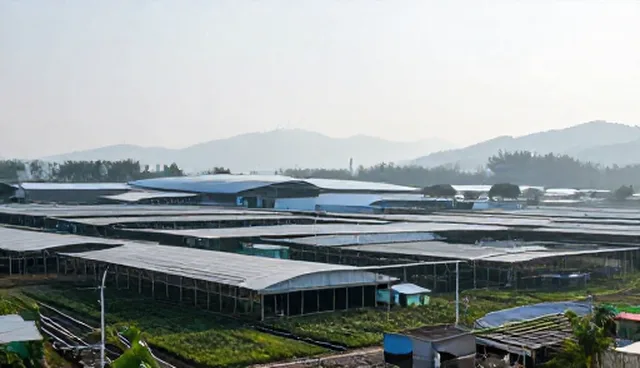 市场分析报告如何应对业务发展趋势，提升品牌策划效果