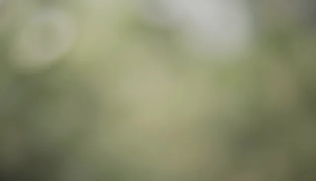如何提高技术服务中的用户体验？
