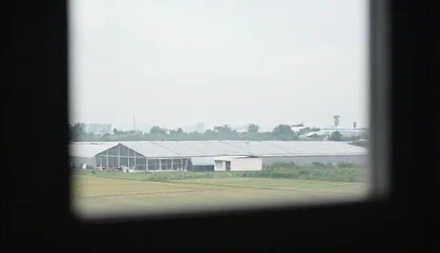教学方法如何结合定制化方案提升学习效率