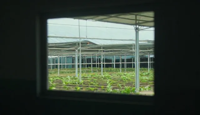 宣传片制作选型建议：如何根据需求选择合适方案