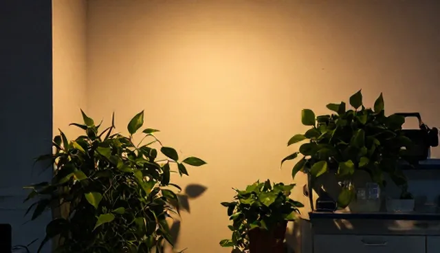 系统运维适用场景与限制分析