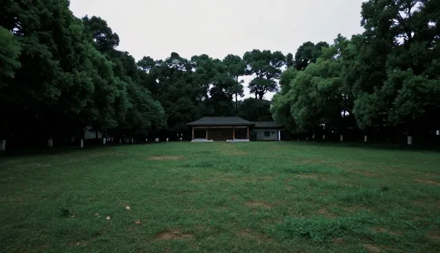 东莞微信小程序开发，如何解决企业推广难题