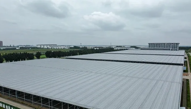 视频剪辑中用户互动的理解误区与实际应用