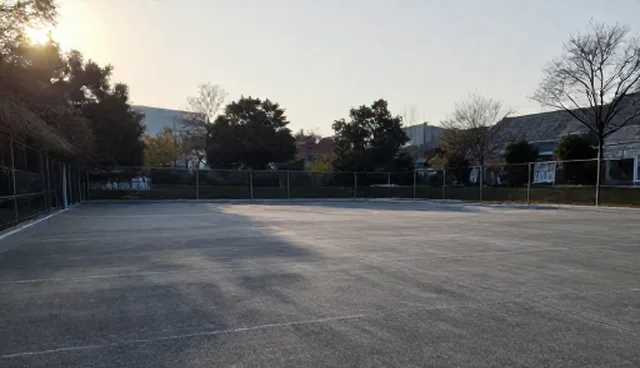 健康咨询选型关注点与使用建议