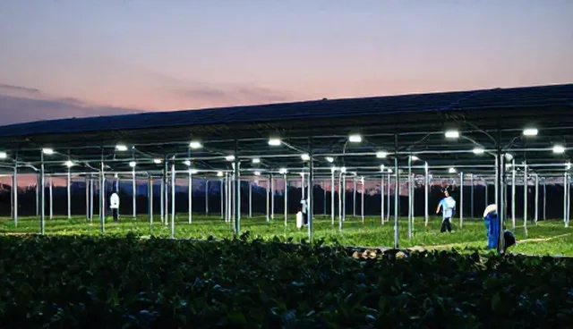 如何用提示词模板插件提升风险控制效率？