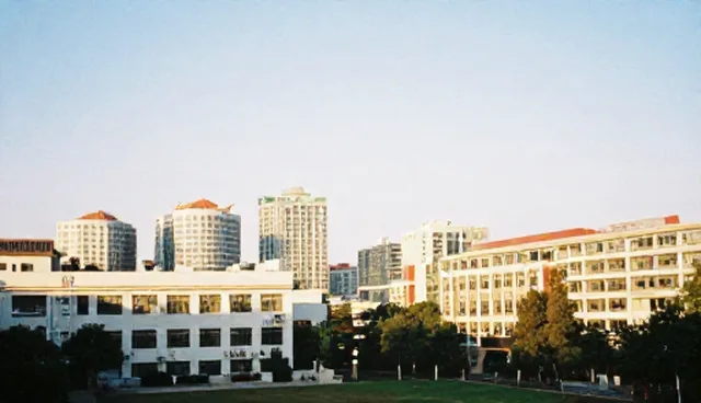 企业OA系统建设中的数据管理误区解析