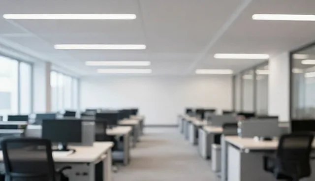系统优化中选型关注点及使用建议