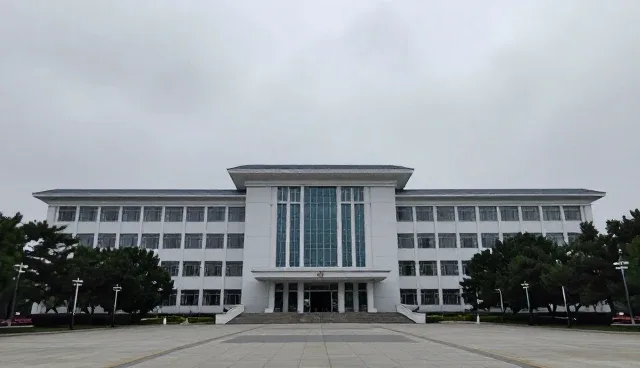 经营决策中性能与适用条件的取舍对比