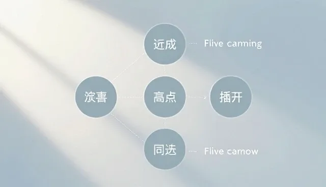 商务代理流程优化如何提升效率与准确性