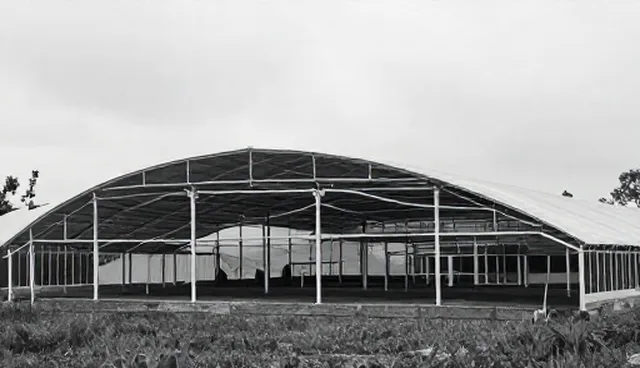电商代运营维护建议：选择依据与业务趋势分析