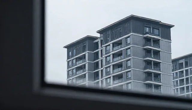 技术外包服务中的检查要点与使用建议