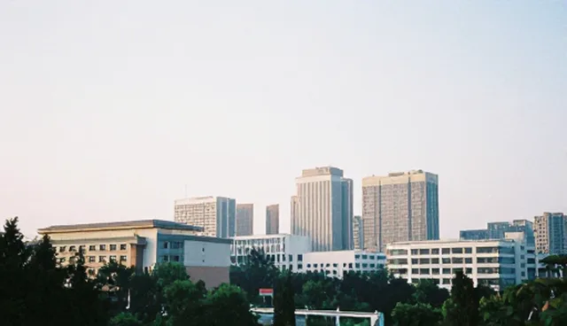 信息查询系统如何提升业务效率