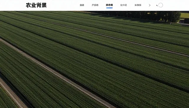 软件开发中使用维护的常见误区及应对策略