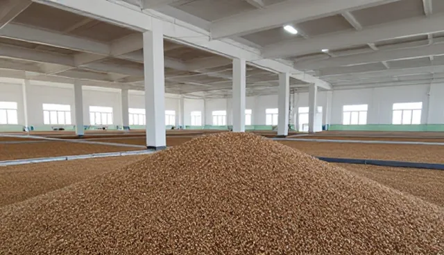 种子包衣剂的使用限制与适用场景解析