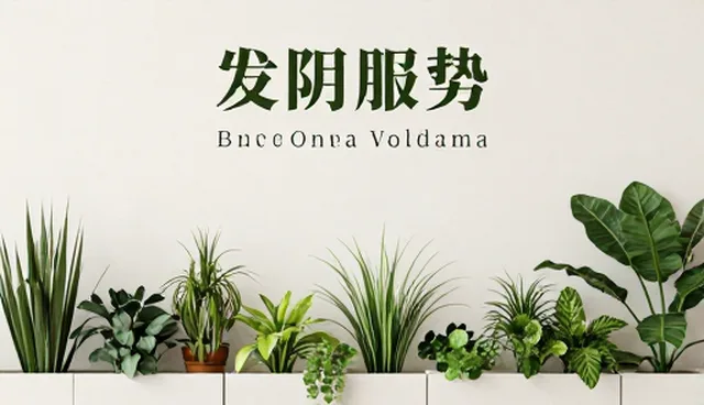 直播运营中的数字内容理解偏差及应对策略