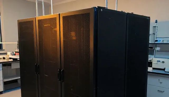 域名使用与维护建议：常见误区及技术方案分析
