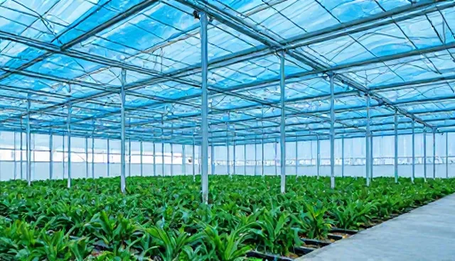 免费建立个人网站：选型建议与项目规划