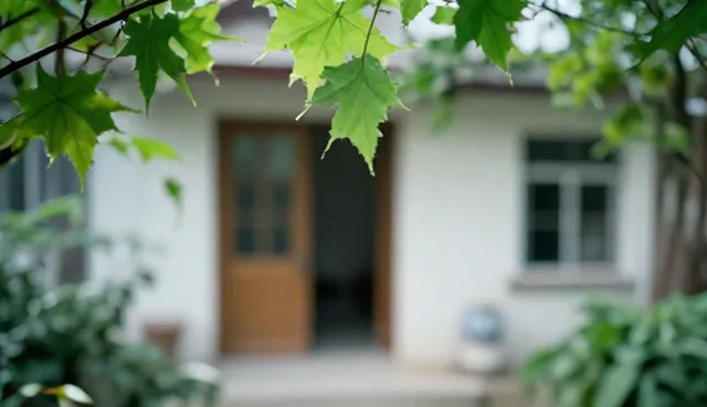 域名解析对网站访问速度影响及优化方案