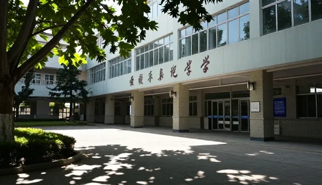 阶段反馈在商务服务中的适用条件与选择依据