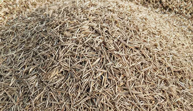 基地合作中的适用情况与限制分析