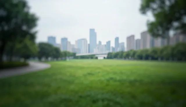 运维服务性能优化中的实际问题及处理方向