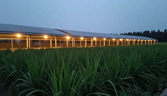 信息系统集成在不同场景下的适用条件与限制