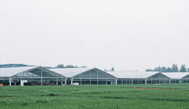 品牌建设中流程优化的性能影响与适用条件
