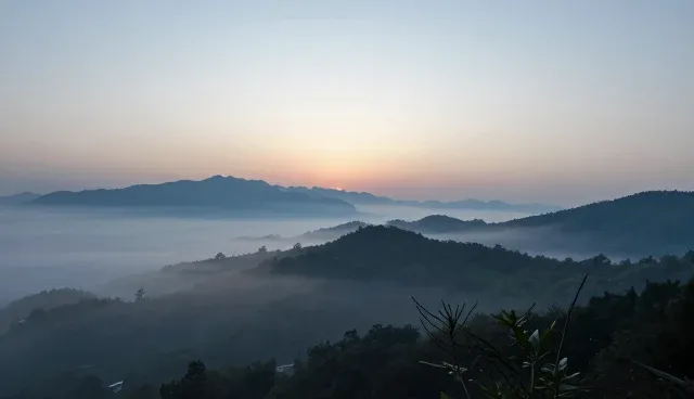 直播运营中的问题处理：适用场景与限制分析