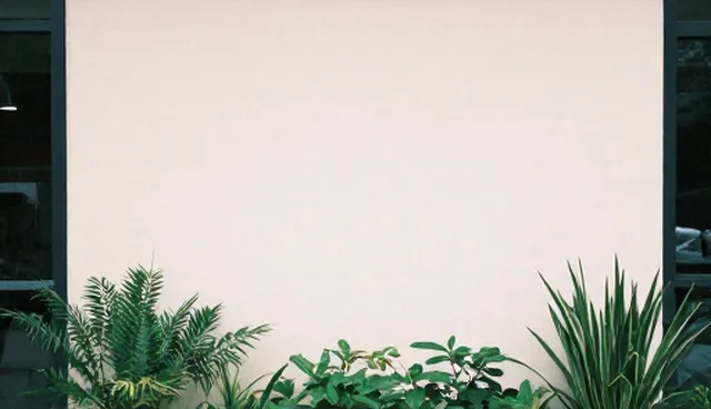 成果转化支持中的检查要点对比：规范与灵活的取舍