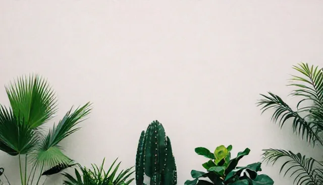 方案设计常见问题与处理方法检查要点