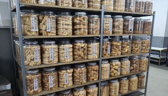 食品代加工中的温度控制：适用情况与限制分析