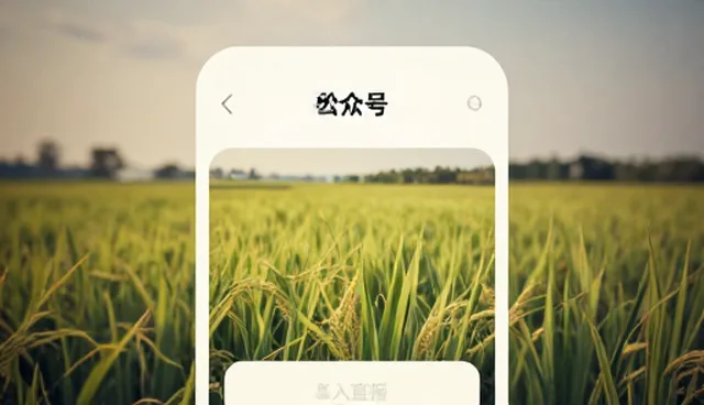 服务器内容选型中用户定位与维护的实践分析